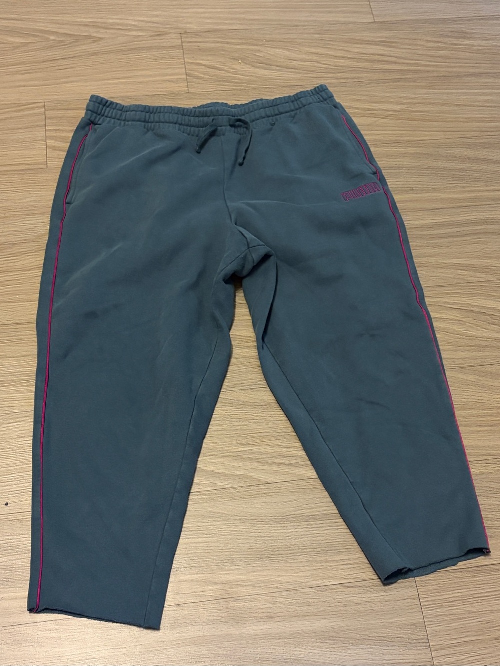 Puma Women's Charcoal Gray Joggers with Pink Piping